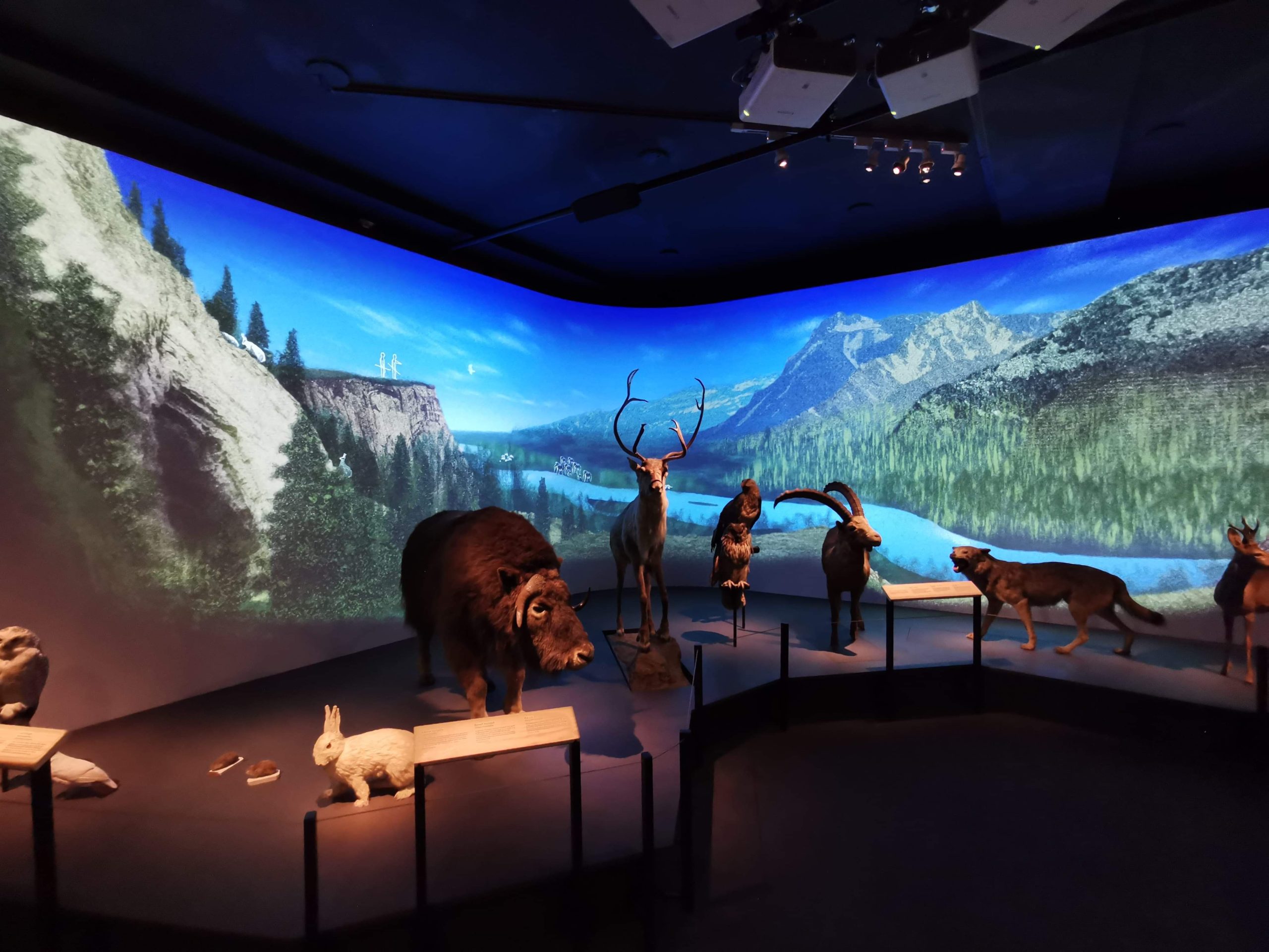 Museum Nantes